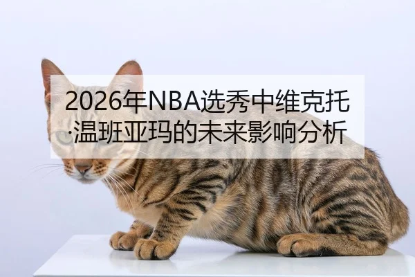 2026年NBA选秀中维克托·温班亚玛的未来影响分析