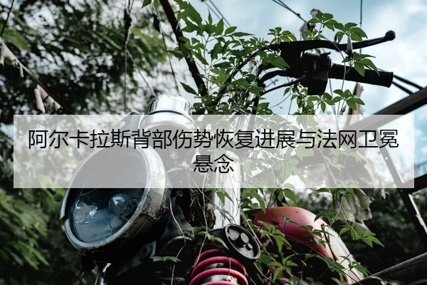a-er-ka-la-si-bei-bu-shang-shi-hui-fu-jin-zhan-yu-fa-wang-wei-mian-xuan-nian-2-761.jpg