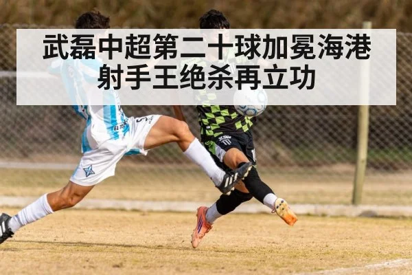 武磊中超第二十球加冕海港射手王绝杀再立功